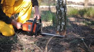 Mulching Services in Willits, CA